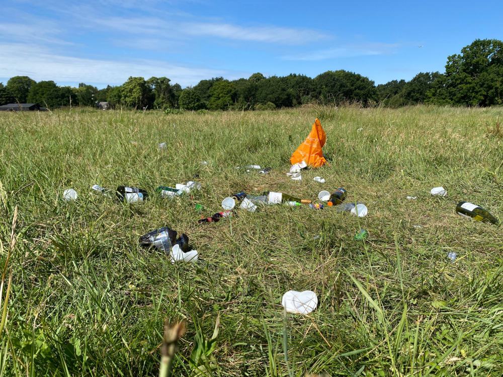 A collection of litter in an urban park