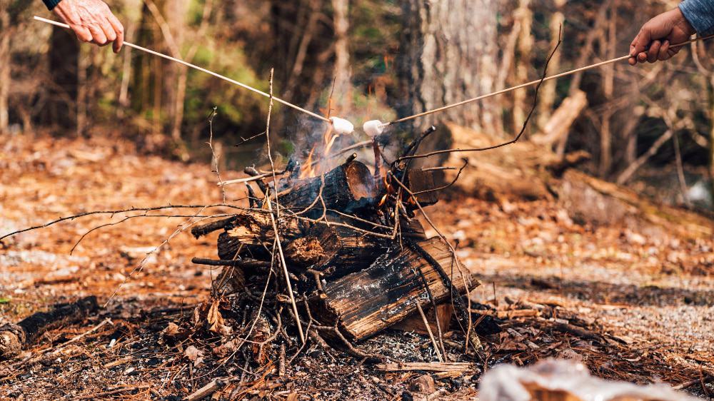 Two people roasting marshmallows over an open fire