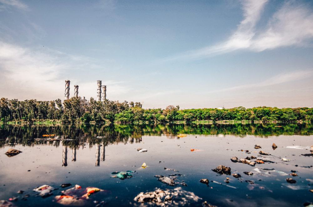 A river polluted with litter