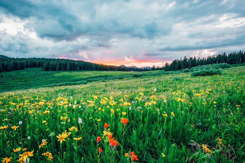 A valley in springtime