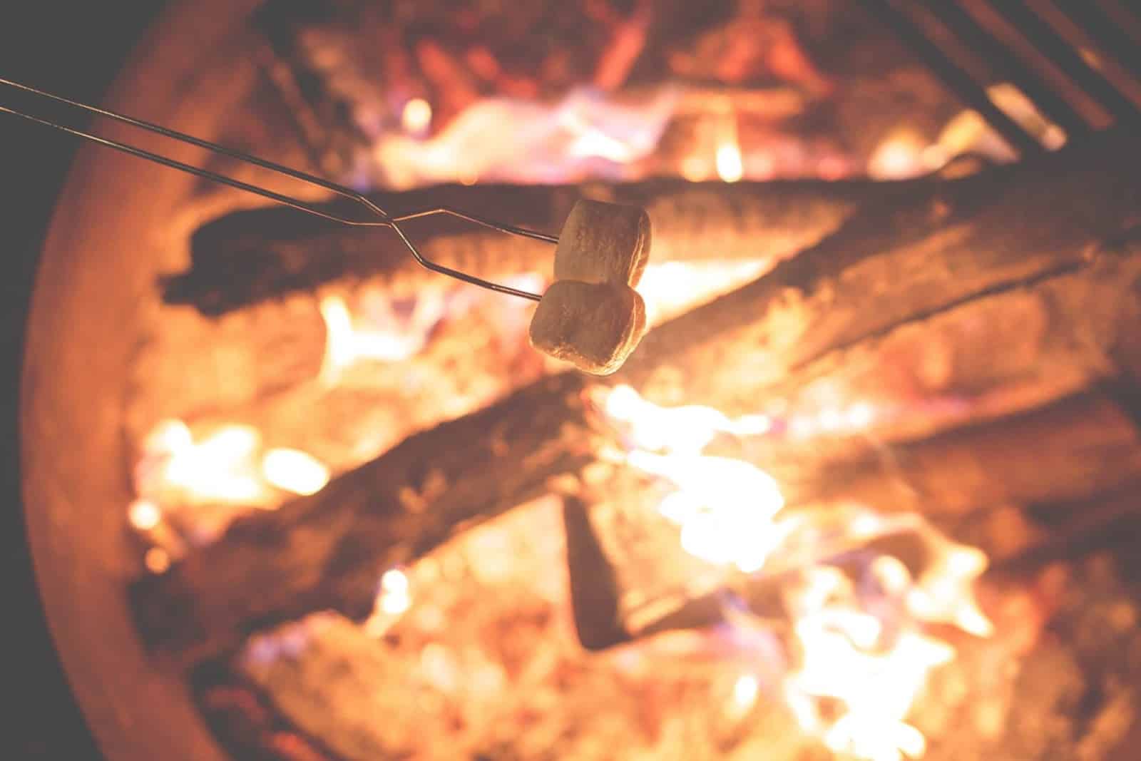 Roasting marshmallows over a campfire