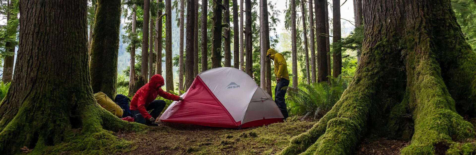 The MSR Hubba Hubba 2 person tent being tested out camping in a forest