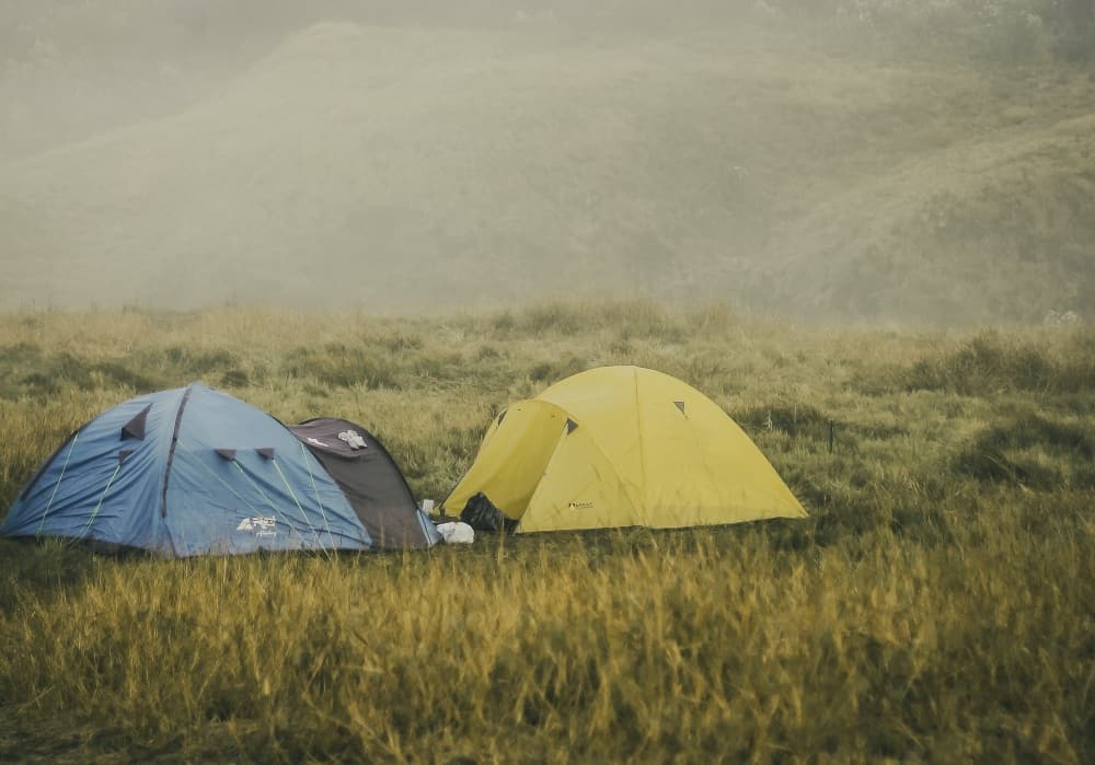 Two tents set up on a meadow in the mist.