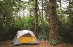 Best 4 Person Tent In 2022 – Best Camping Tents For YOU