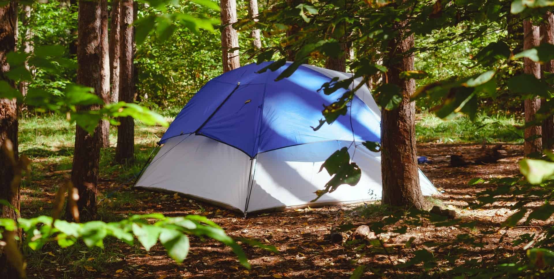 Blue and white tent set up in a forest