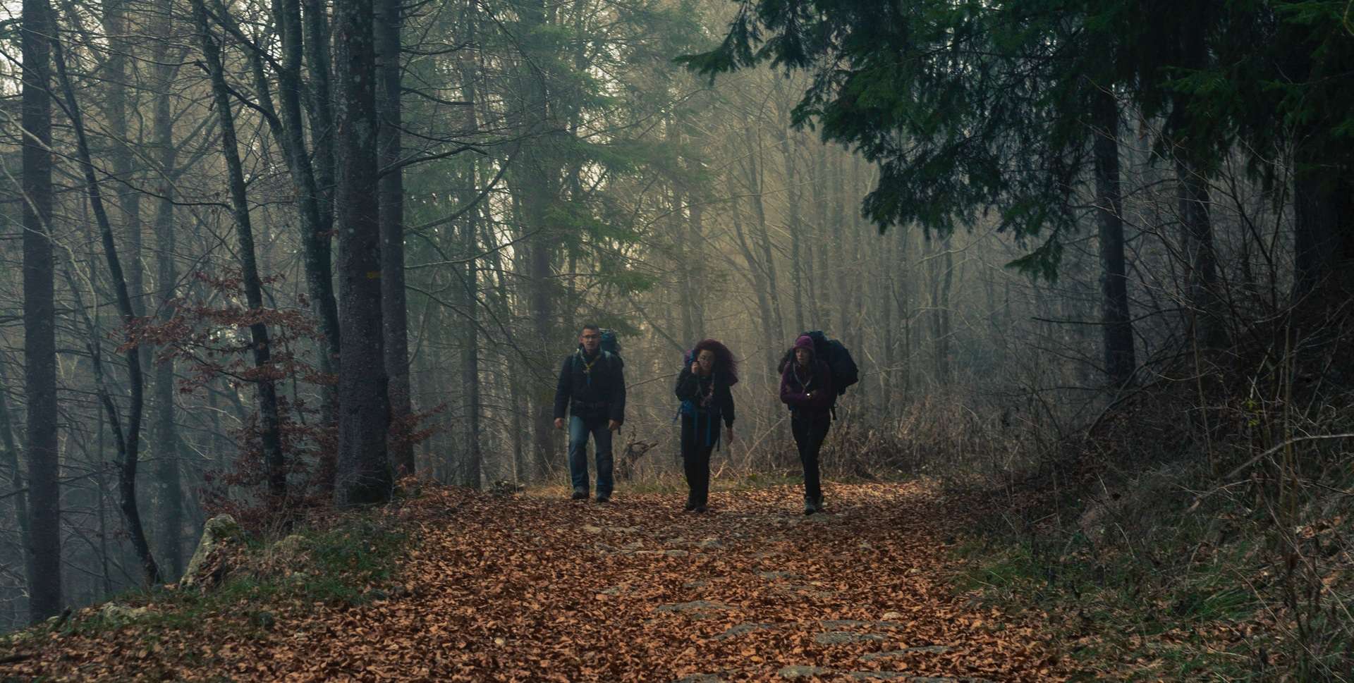 Three people walking along a trail in a forest with backpacks.