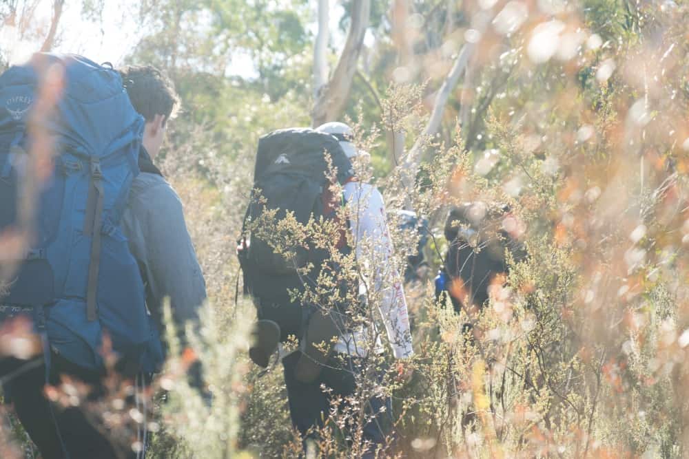 People hiking with full backpacks in the scrub