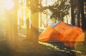 Orange tent set up in the forest at Sunrise on a summer day.