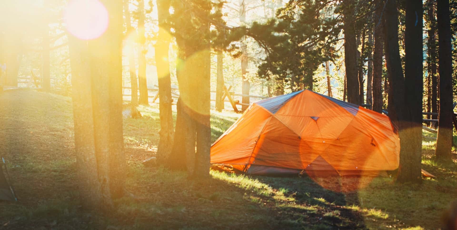 Orange tent set up in the forest at Sunrise on a summer day.