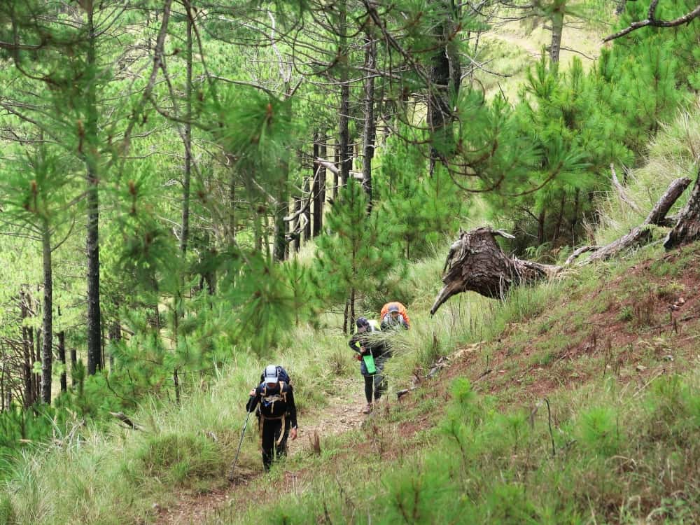 Three hikers with backpacks following a trail in a lush mountain environment.