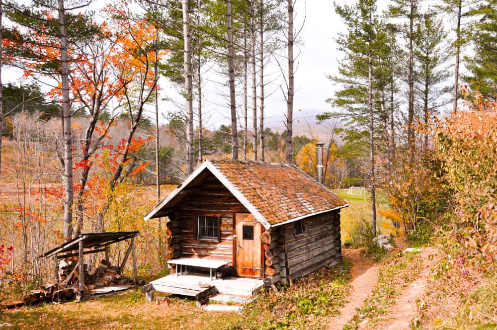 A cabin in the forest is the perfect place to get away from it all without losing all your amenities.