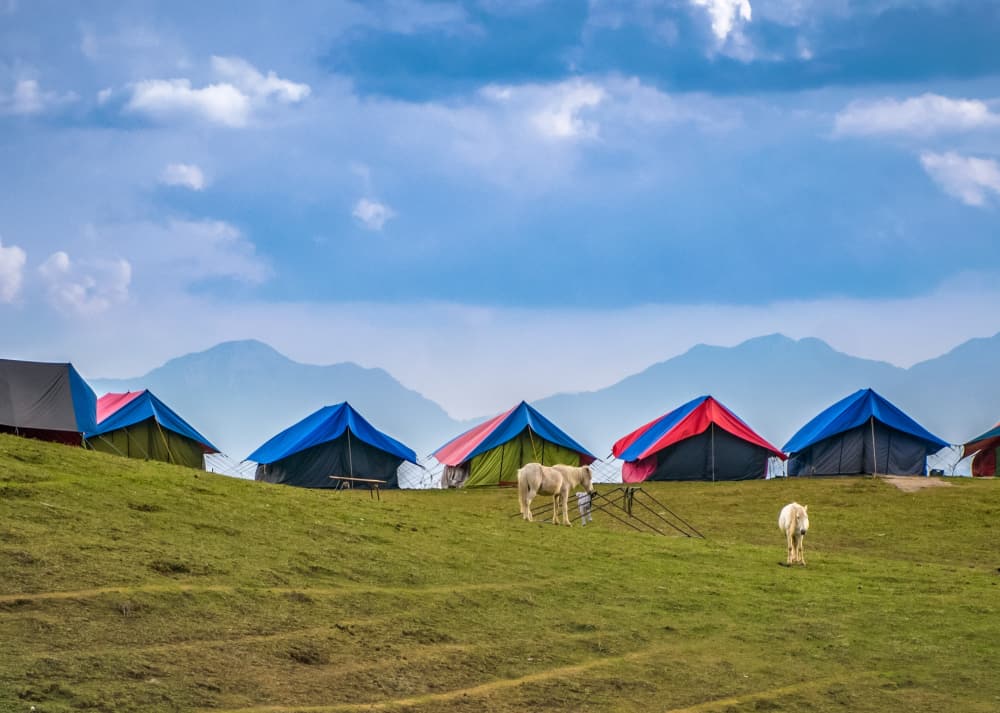 Bright coloured tent flys can make you tent easy to see in a crowded campsite like this one. 