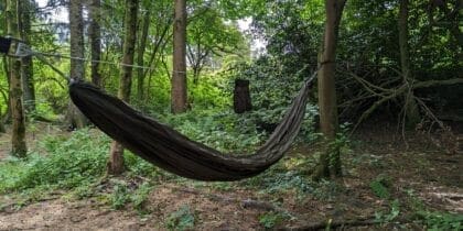 Onewind Whirlwind 11 Ultralight Hammock set up between trees for our review